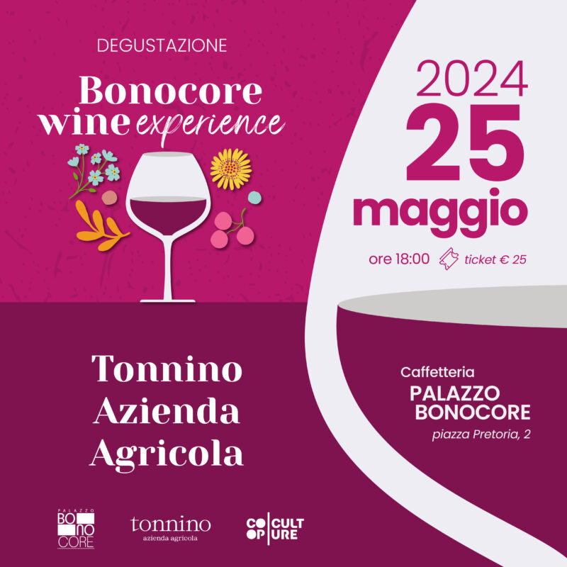 Bonocore Wine experience_Tonnino Azienda Agricola